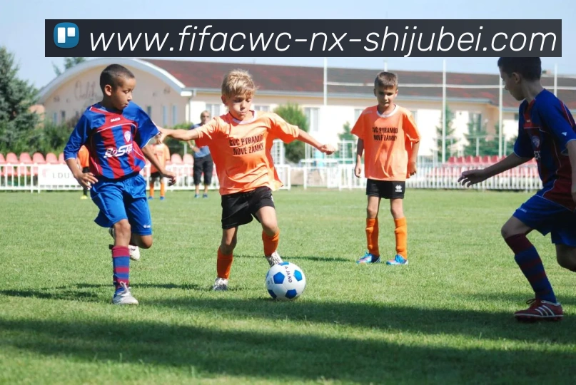 App Interface Preview