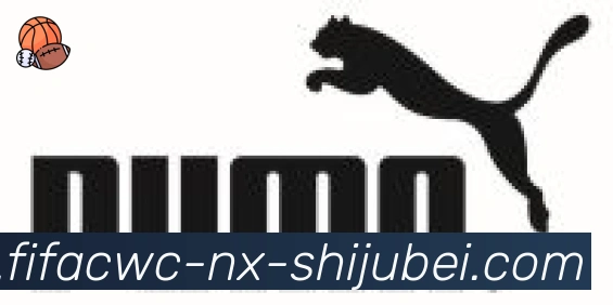 世界杯直播合作伙伴