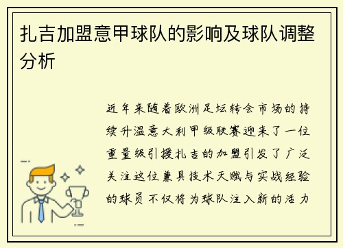 扎吉加盟意甲球队的影响及球队调整分析