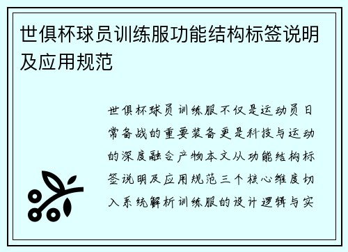 世俱杯球员训练服功能结构标签说明及应用规范